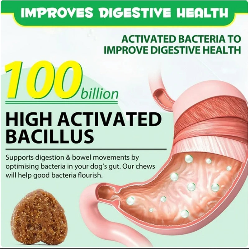 Probiotic Chews for Dogs – Healthy Gut & Digestive Support Supplement