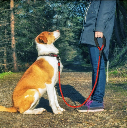 Strong Reflective Dog Leash Rope for Walking & Training – Nylon Pet Lead for All Sizes