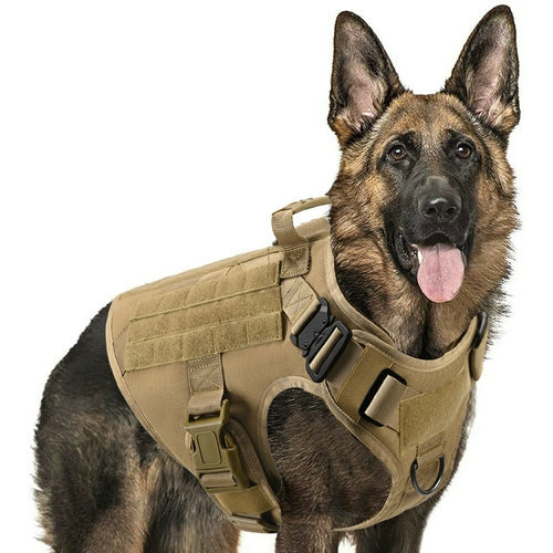 Fast Shipping Military Tactical Dog Harness & Leash Set