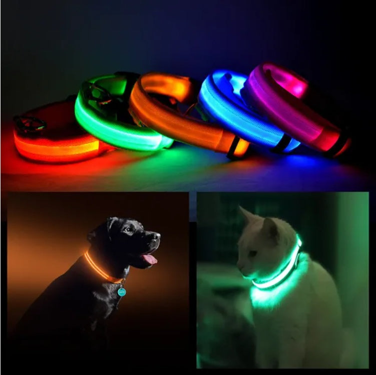 LED Light Up Pet Collar – Flashing Safety Collar for Dogs & Cats