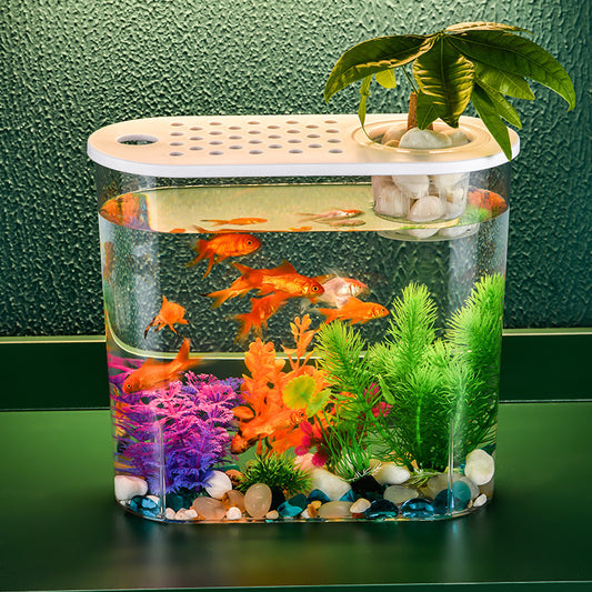 Acrylic Goldfish Aquarium Tank – Eco Hydroponic Desktop Fish Tank