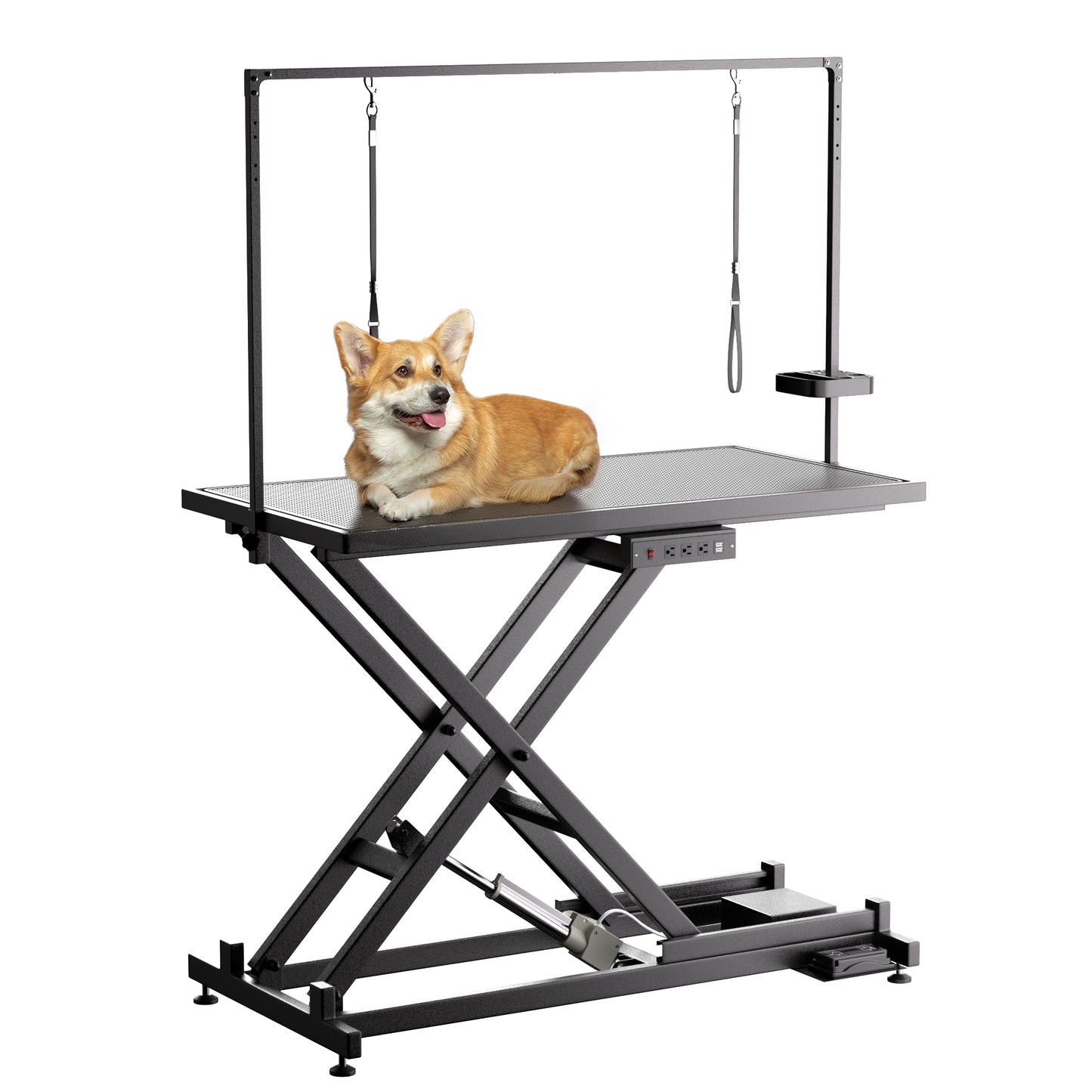 Electric Dog Grooming Table – Adjustable Pet Grooming Station with Arm
