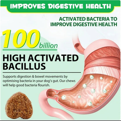 Probiotic Chews for Dogs – Healthy Gut & Digestive Support Supplement