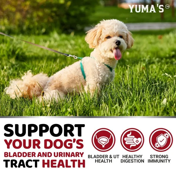 Yuma’s Urinary Tract Chews for Dogs – Cranberry & D-Mannose for Bladder Health, 170 Chicken-Flavored Chews