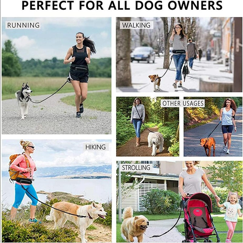Hands-Free Dog Leash with Bungee – Running Waist Belt for Large Dogs