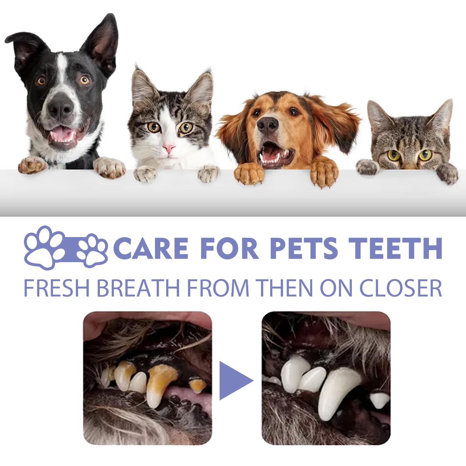 Yegebang Cat & Dog Teeth Cleaning Spray – Oral Care, Fresh Breath & Pet Deodorizing Spray