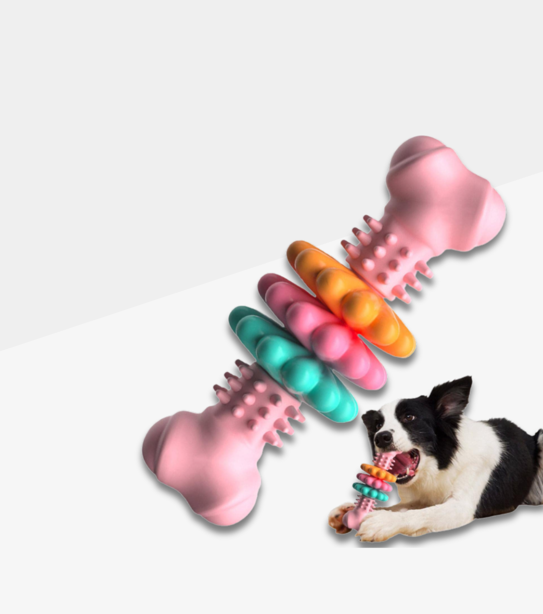 Indestructible TPR Dog Chew Bone – Teeth Cleaning Interactive Chew Toy