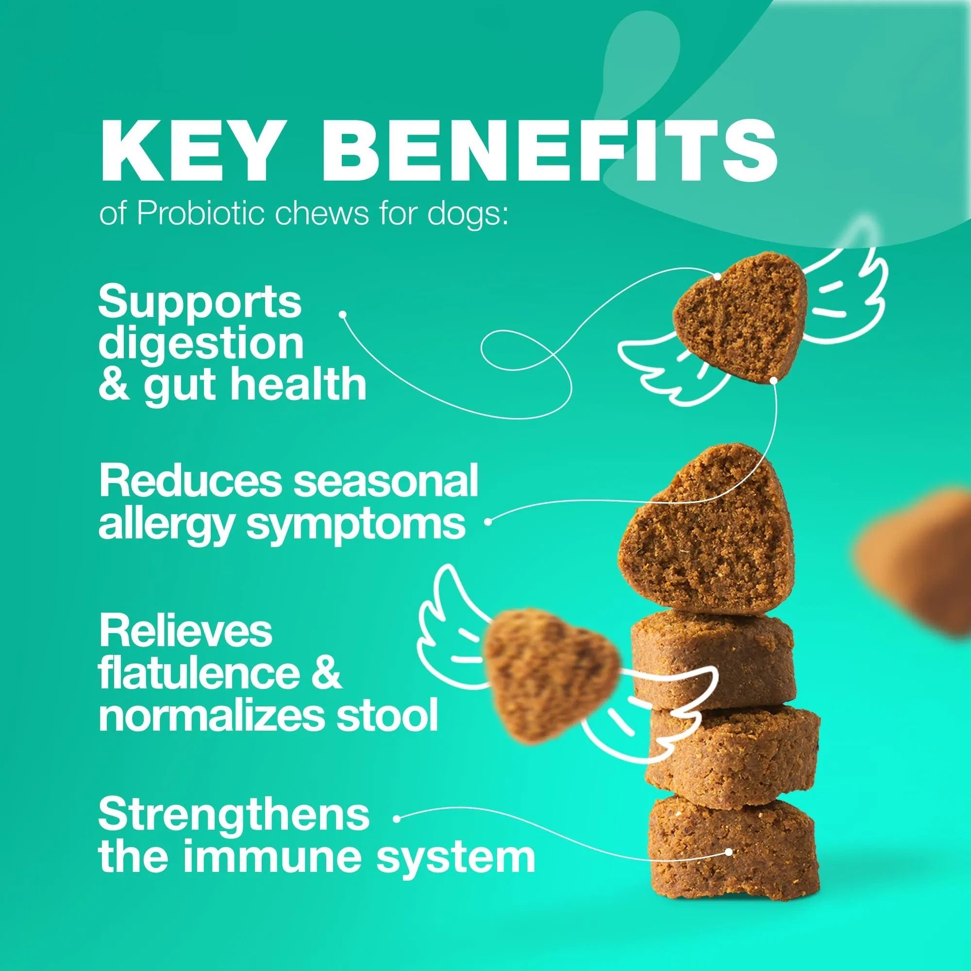 Probiotics for Dogs – Gut Health, Immunity & Yeast Balance Support with Digestive Enzymes | 180 Chews