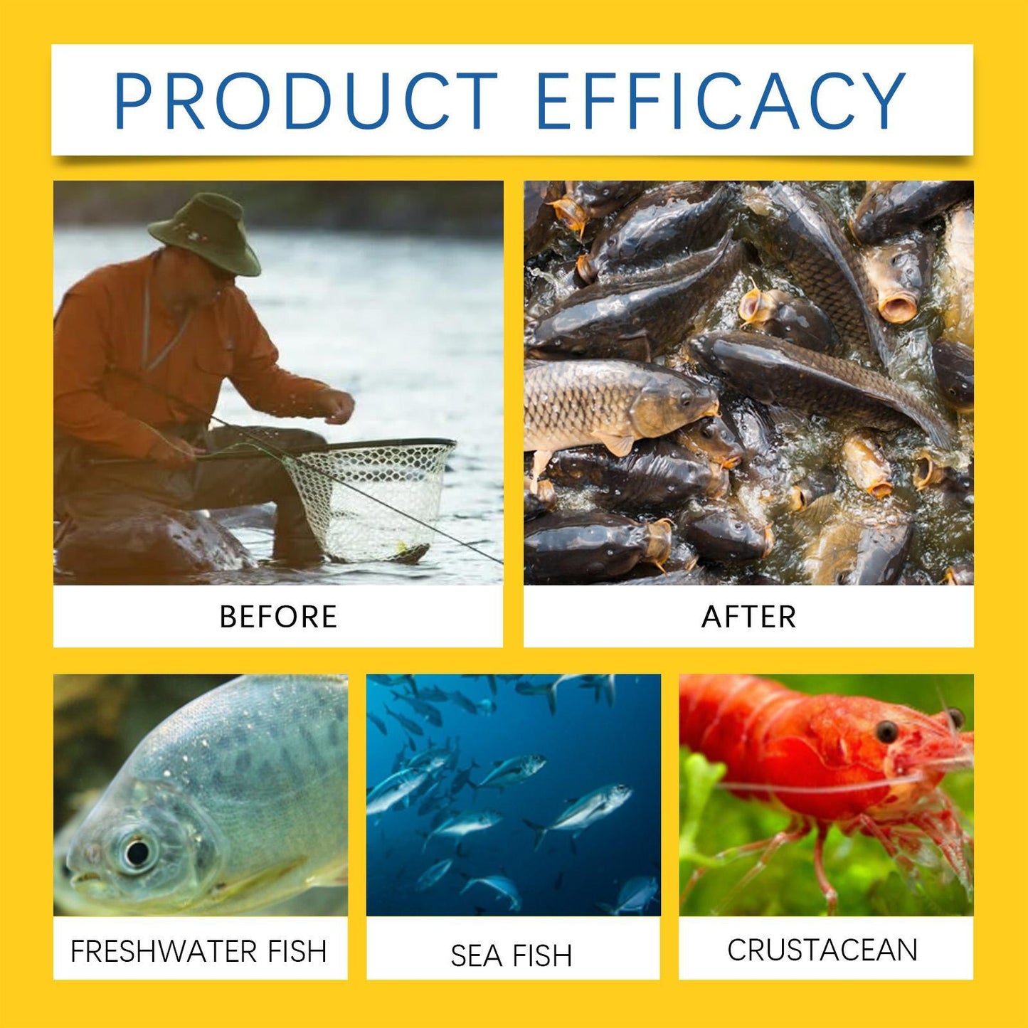 Red Worm Fishing Bait Liquid – Fish Attractant for Freshwater Fishing