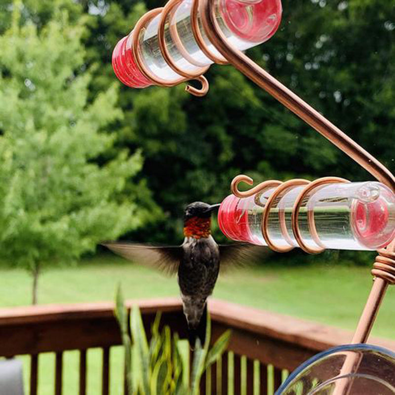 Hummingbird Feeder with Suction Cup – Easy-to-Clean Garden Bird Feeder for Wild Birds & Outdoor Decor