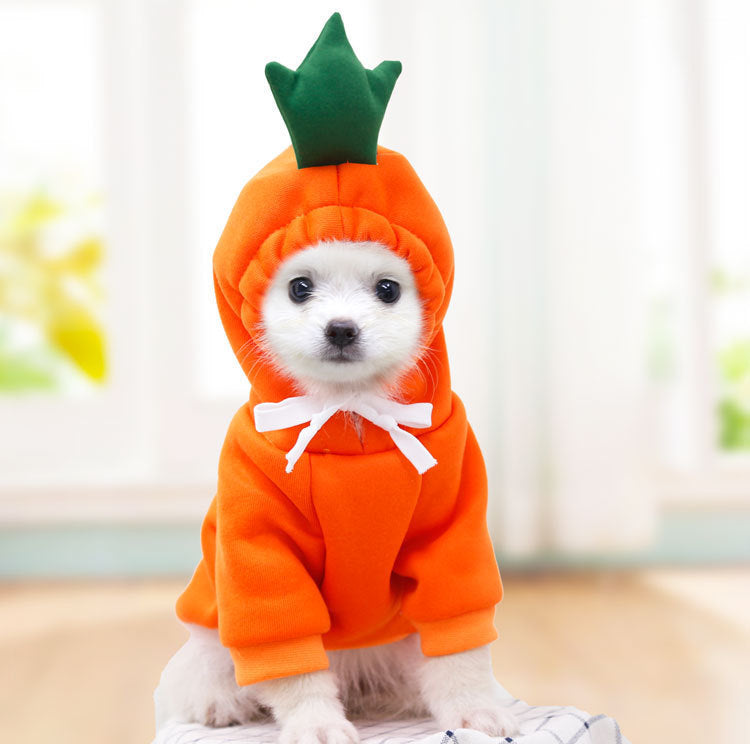 Soft Pet Hoodie