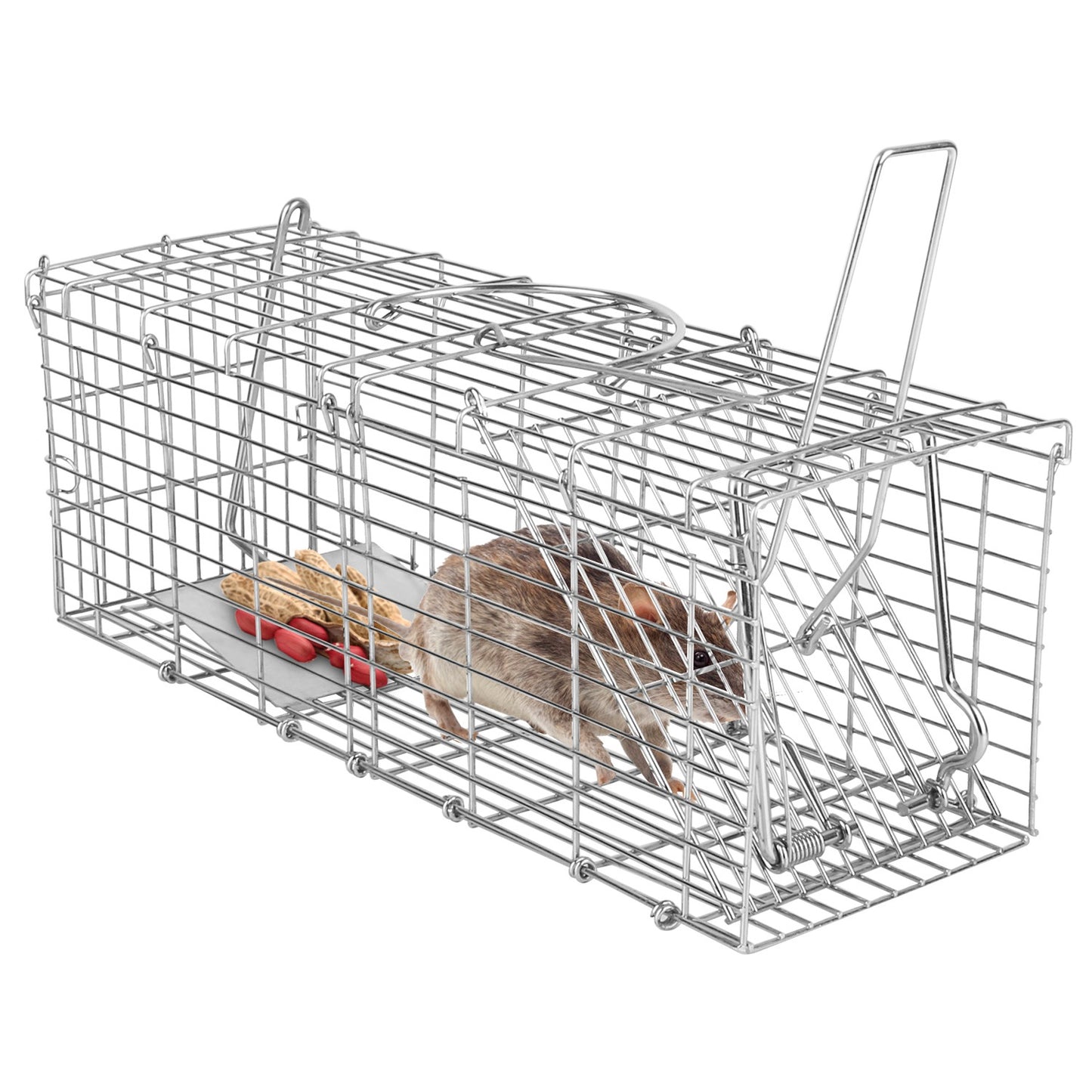 Humane Reusable Mouse Trap Cage – Safe Live Catch Rodent Trap