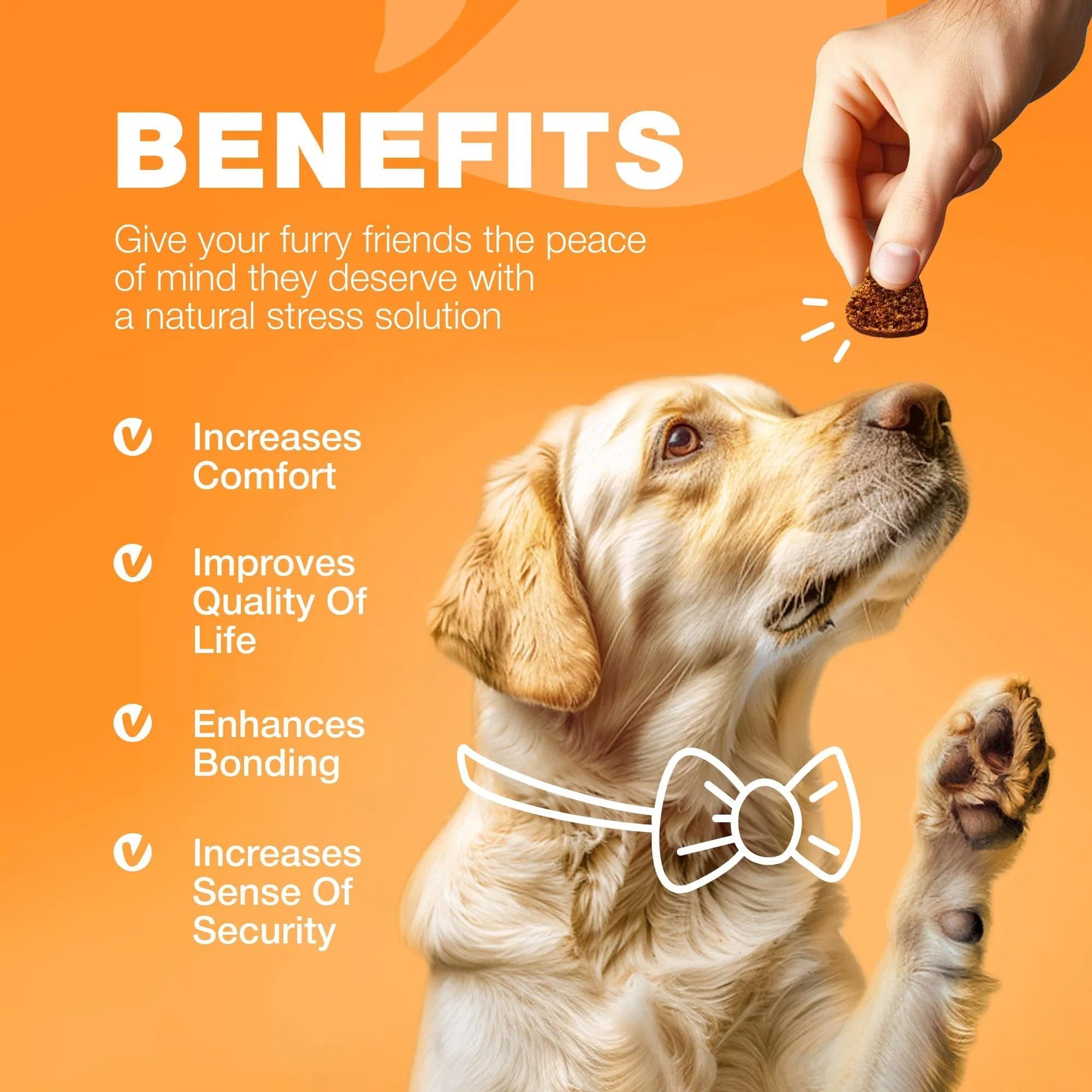 Chewia Dog Allergy Relief Chews – Anti-Itch, Skin & Immune Support for Seasonal Allergies