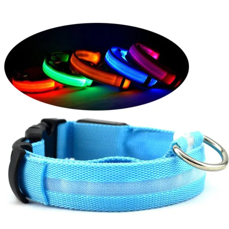 LED Light Up Pet Collar – Flashing Safety Collar for Dogs & Cats