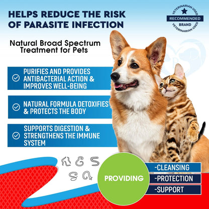 Natural Liquid Dewormer for Cats & Dogs – Broad Spectrum Worm Treatment for Kittens & Puppies