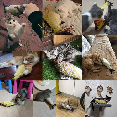 Without Catnip Electric Jumping Fish Toy – Realistic Simulation for Cats