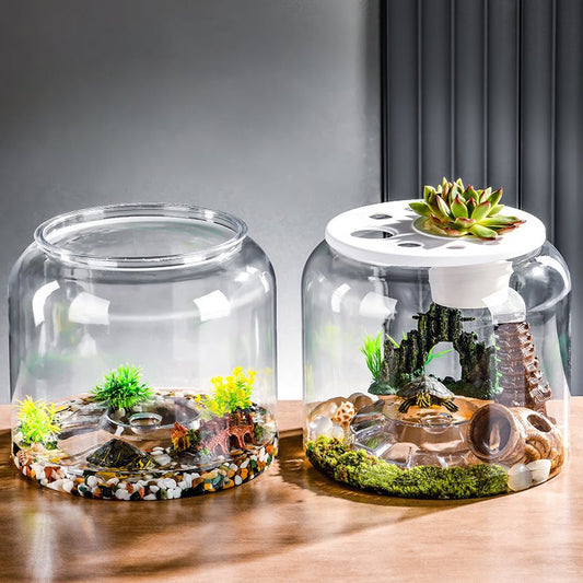 Transparent Desktop Aquarium Tank – Ecological Fish & Turtle Tank