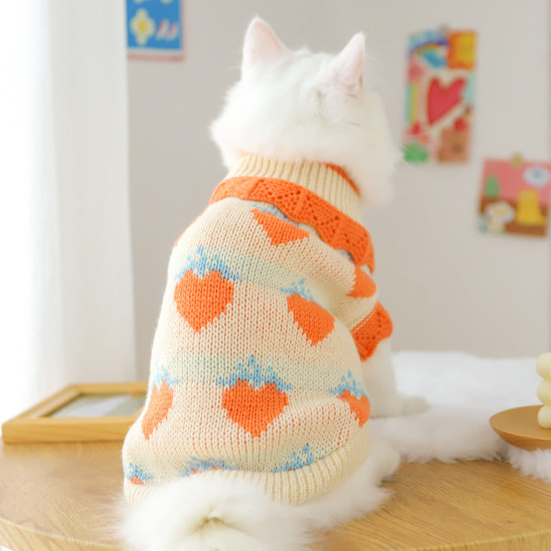 Fall Cat Clothes for Kittens – Cute Anti-Shedding Wear