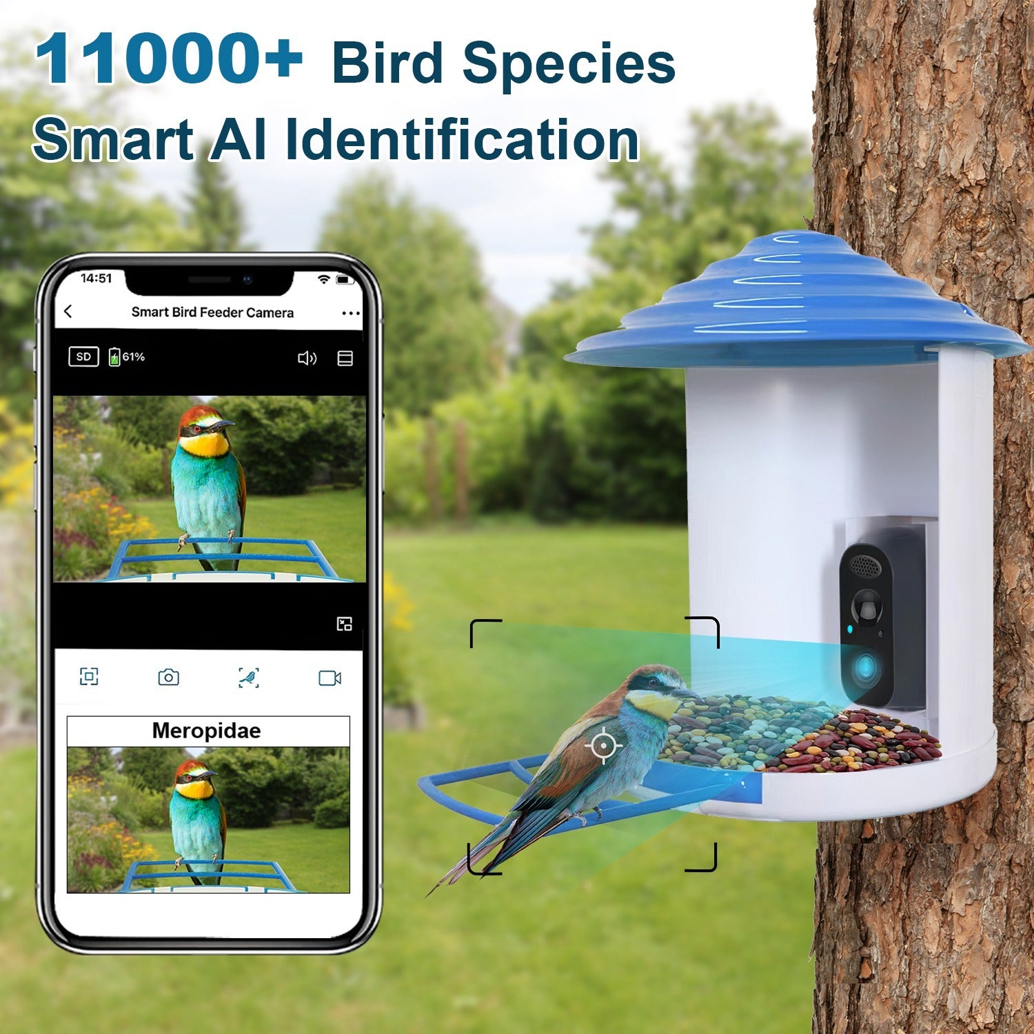 Smart Solar Bird Feeder with 1080P HD Camera – AI Bird Identification, PIR Motion Detection, Auto Video Capture, Cloud & SD Storage, WiFi App Control, IP65 Waterproof