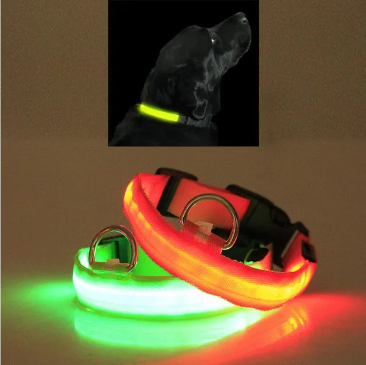 LED Light Up Pet Collar – Flashing Safety Collar for Dogs & Cats