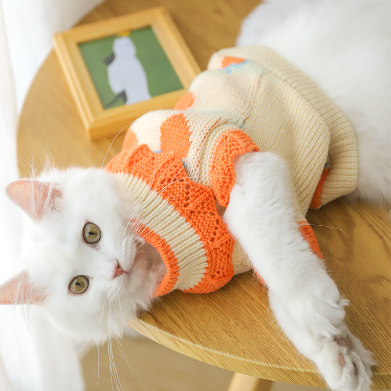 Fall Cat Clothes for Kittens – Cute Anti-Shedding Wear