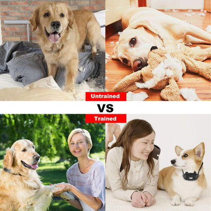 Dog Training Collar with Remote – IP67 Waterproof 875 Yards Range