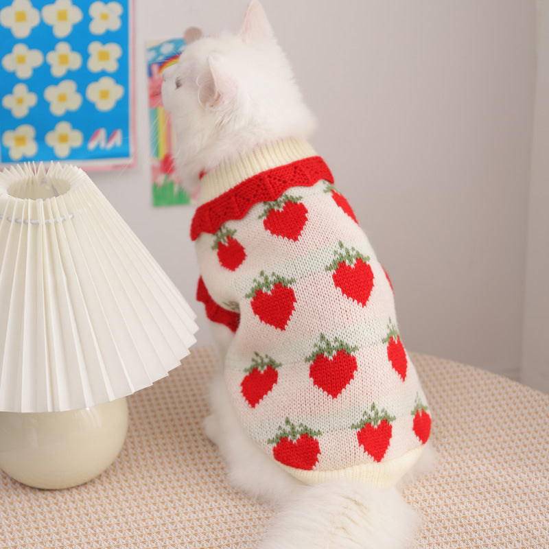 Fall Cat Clothes for Kittens – Cute Anti-Shedding Wear