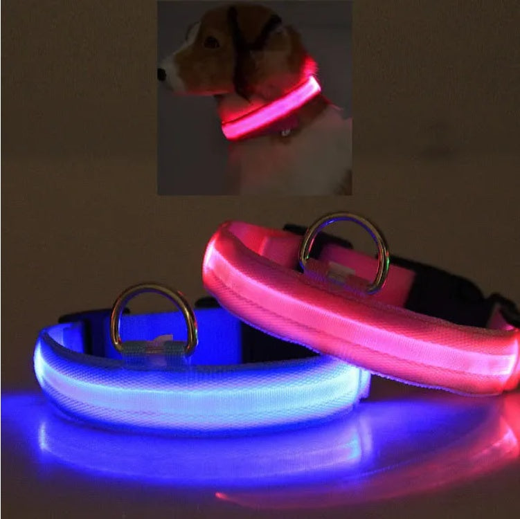LED Light Up Pet Collar – Flashing Safety Collar for Dogs & Cats