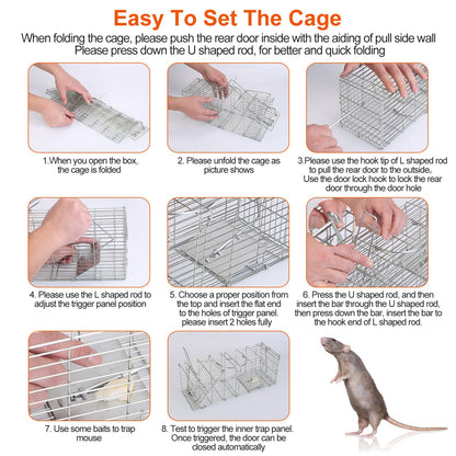 Humane Reusable Mouse Trap Cage – Safe Live Catch Rodent Trap
