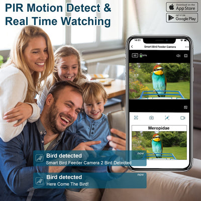 Smart Solar Bird Feeder with 1080P HD Camera – AI Bird Identification, PIR Motion Detection, Auto Video Capture, Cloud & SD Storage, WiFi App Control, IP65 Waterproof