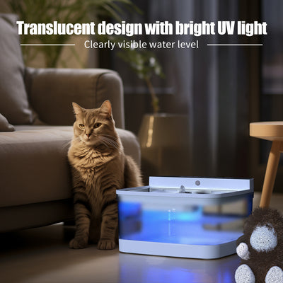 Best Pet Water Dispensers in 2025: Top Automatic and Gravity Fountains for Cats & Dogs