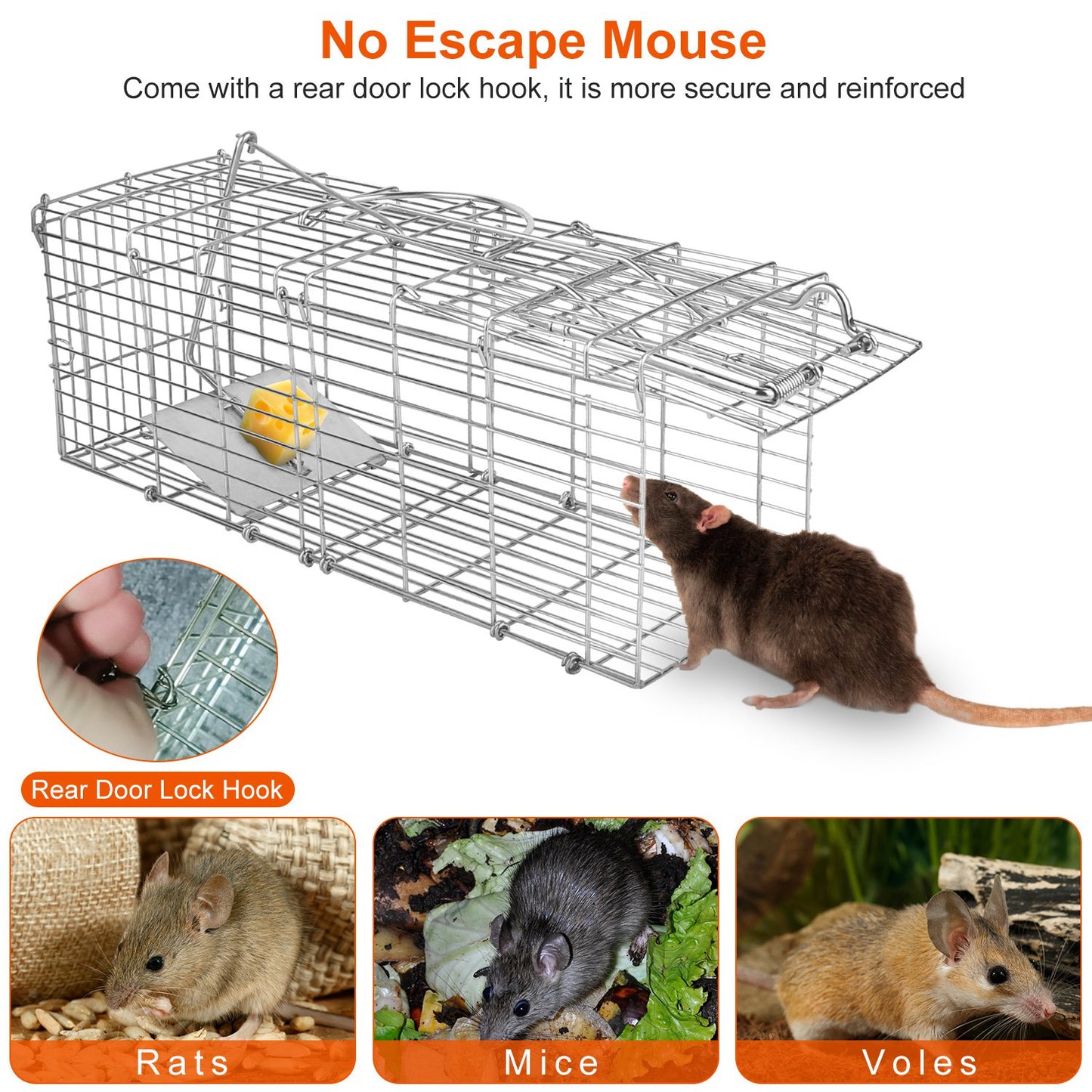 Humane Reusable Mouse Trap Cage – Safe Live Catch Rodent Trap