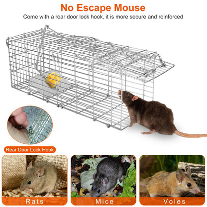 Humane Reusable Mouse Trap Cage – Safe Live Catch Rodent Trap
