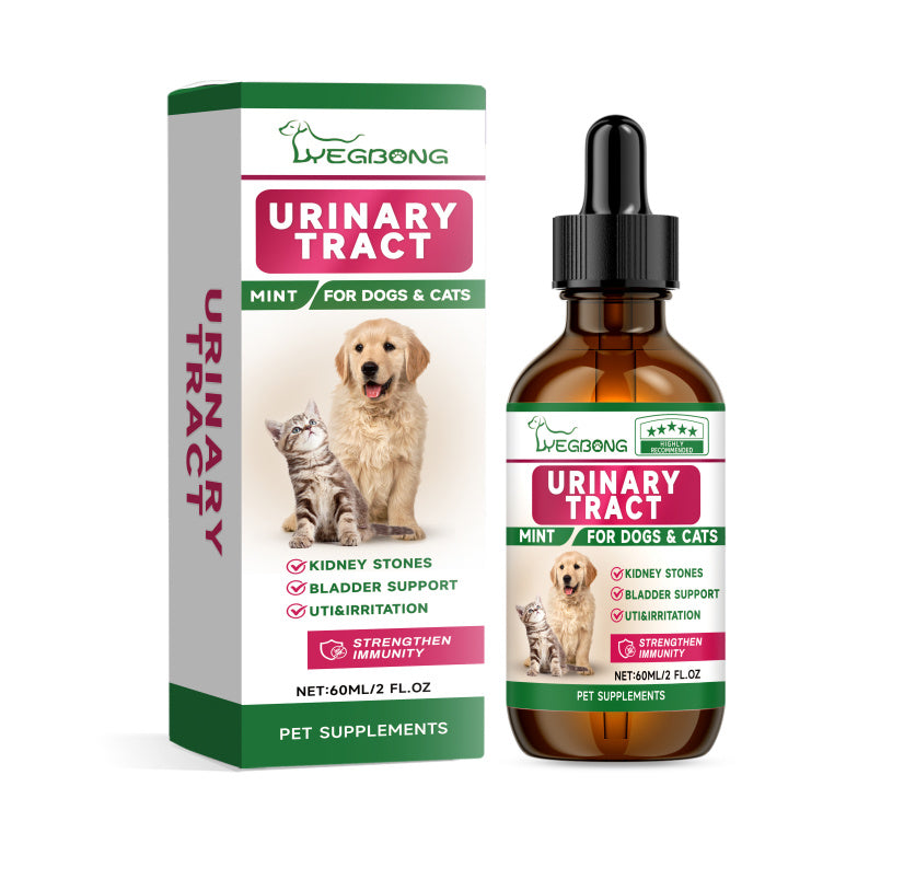 Pet Supplements – Vitamins & Nutrients for Dogs and Cats for Health, Immunity, and Vitality