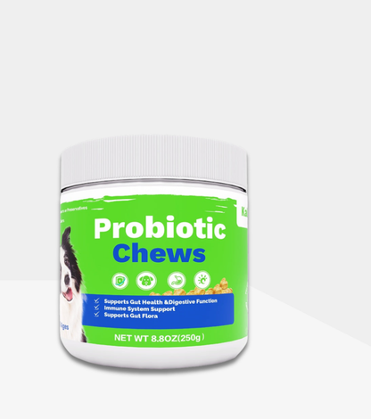 Probiotic Chews for Dogs – Healthy Gut & Digestive Support Supplement