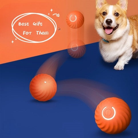 Durable Rubber Dog Ball Toy – Chew Resistant & Interactive Training Toy for Puppies & Dogs