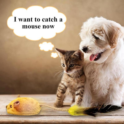 Interactive LED Cat Mouse Toy – USB Rechargeable, Automatic Chirping with Feather Tail & Catnip for All Cat Breeds