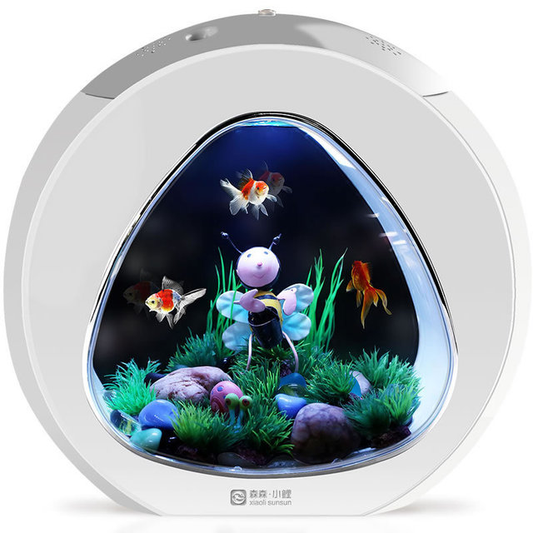 Mini Desktop Aquarium Fish Tank – Acrylic Tabletop Aquarium