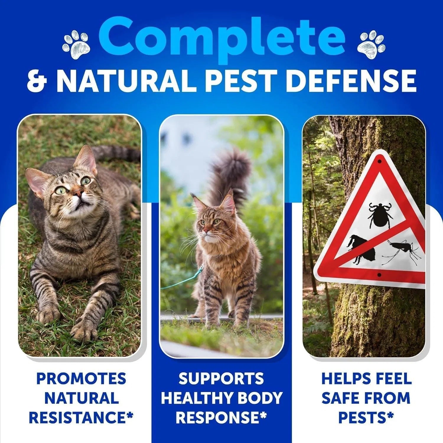 Artullano Natural Flea & Tick Prevention for Cats – Oral Chewable Supplement for Year-Round Protection