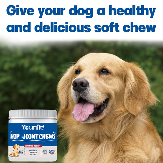 Dog Hip & Joint Chews – Glucosamine Chondroitin Supplement