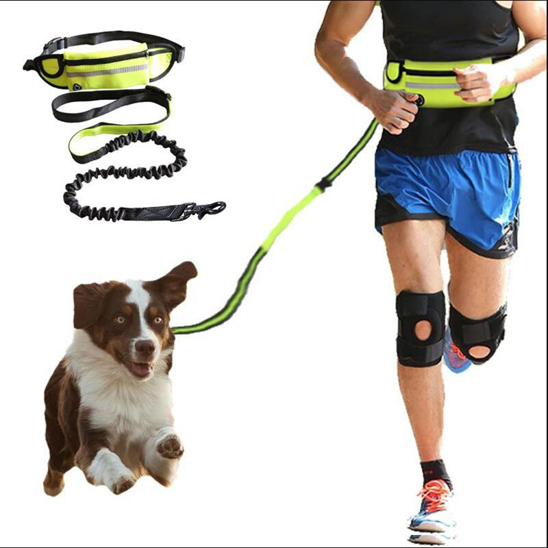 Hands-Free Dog Leash with Bungee – Running Waist Belt for Large Dogs
