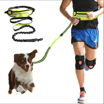 Hands-Free Dog Leash with Bungee – Running Waist Belt for Large Dogs