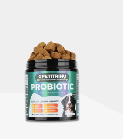 Dog Probiotic Chews 120Ct – Digestive Enzymes for Gut & Skin Health