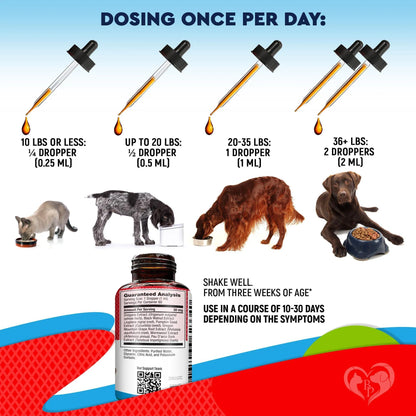 Natural Liquid Dewormer for Cats & Dogs – Broad Spectrum Worm Treatment for Kittens & Puppies