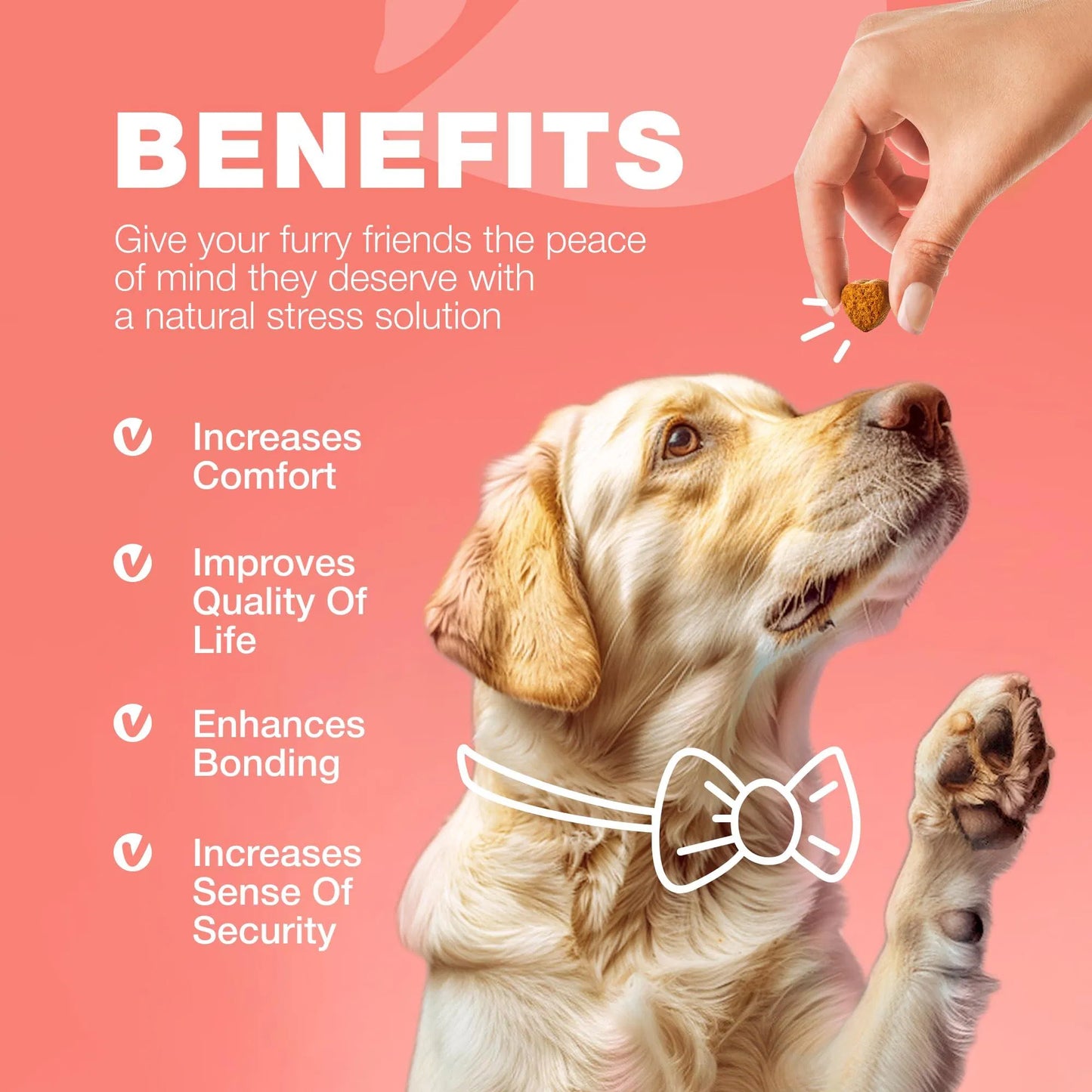 Flea & Tick Chews for Dogs – Natural Prevention & Immune Support Soft Chews