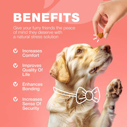 Flea & Tick Chews for Dogs – Natural Prevention & Immune Support Soft Chews