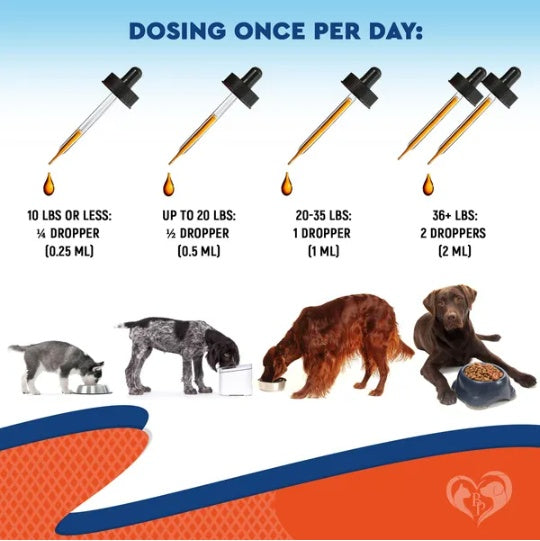 Natural Dog Yeast Infection & Anti-Itch Drops – Ear, Skin & Allergy Relief Supplement