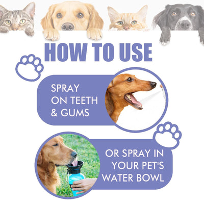 Yegebang Cat & Dog Teeth Cleaning Spray – Oral Care, Fresh Breath & Pet Deodorizing Spray