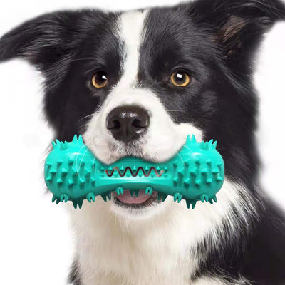 Durable Rubber Dog Chew Toy – Molar Stick for Aggressive Chewers | Oral Health & Teeth Cleaning