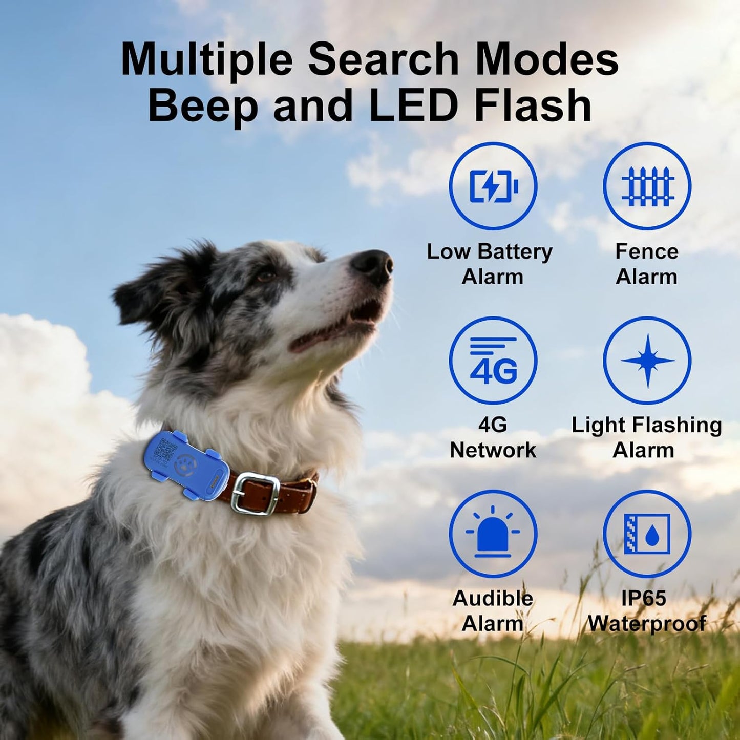 Smart Pet GPS Tracker Collar – Real-Time Tracking & Geo-Fence Alerts